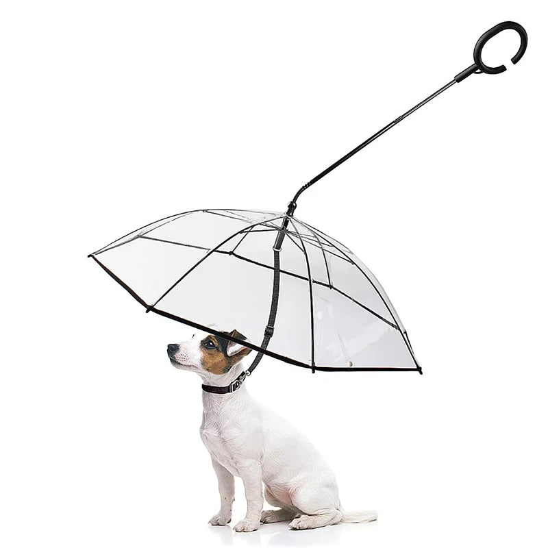 Pet-paraguas